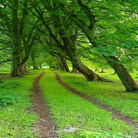 Betty Bei Heiligendamm Mit Garten * Hinter Bollhagen
