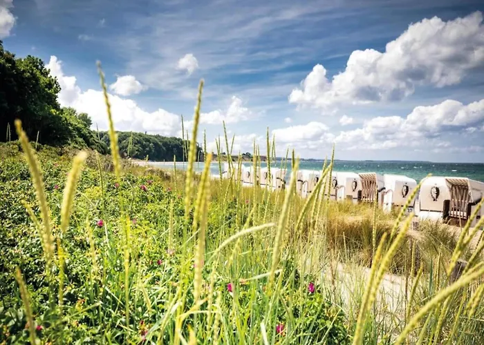 Betty Bei Heiligendamm Mit Garten * Hinter Bollhagen